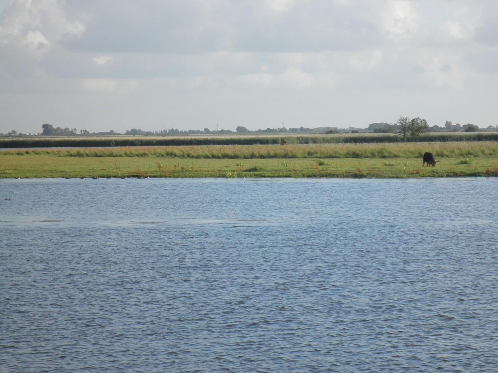 Leonie 6 Pers Holiday Home With A Large Garden Close To The Lauwersmeer Anjum Eksteriør bilde